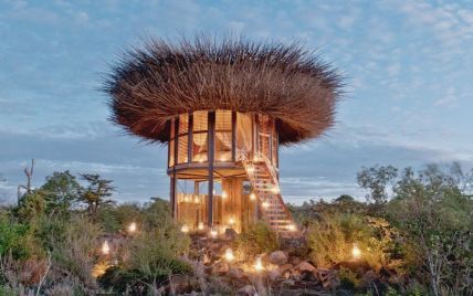 5-звездочное гнездо в Кении. Участникам сафари предлагают пожить в отеле с панорамой в 360 градусов
