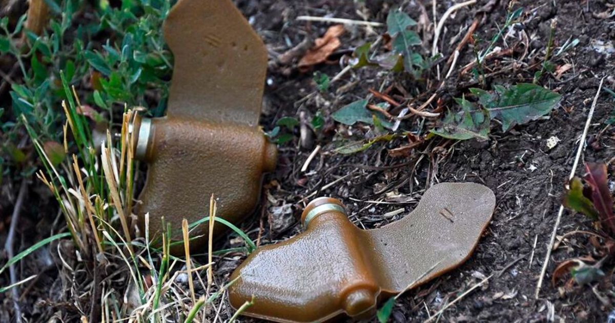Окупанти щедро "засівають" українську землю "пелюстковими" мінами