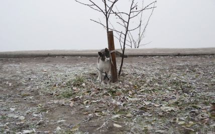 Вночі вдарить мороз до мінус 9°: прогноз погоди в Україні на середу, 10 листопада