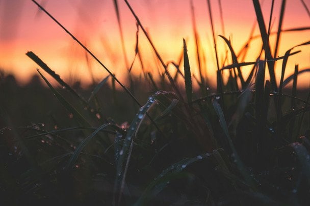Народні прикмети 4 серпня / © unsplash.com