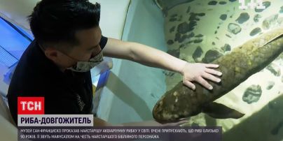 У музеї Сан-Франциско живе найстаріша акваріумна риба у світі