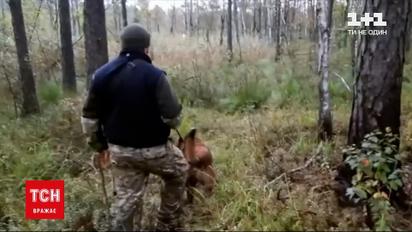 В Ровенской области стартует масштабная поисковая спецоперация 53-летней женщины | Новости Украины