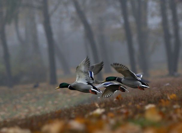  / © Associated Press