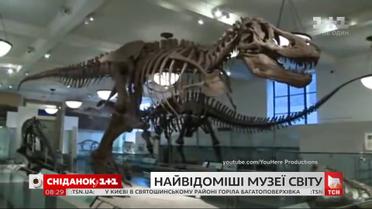 Кит в реальном размере и организация баллов: ТОП-4 интересных музеев мира