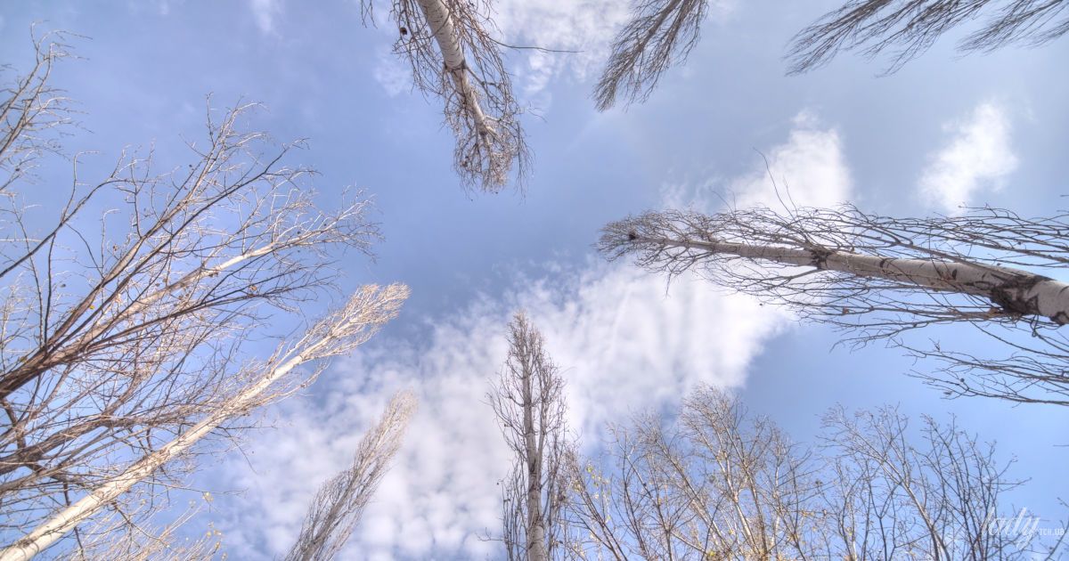 Гороскоп на 27 листопада