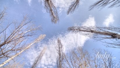 Гороскоп на 27 ноября