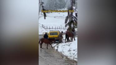 На Буковине мужчина переехал сотрудника ТЦК машиной, а затем напал с топором