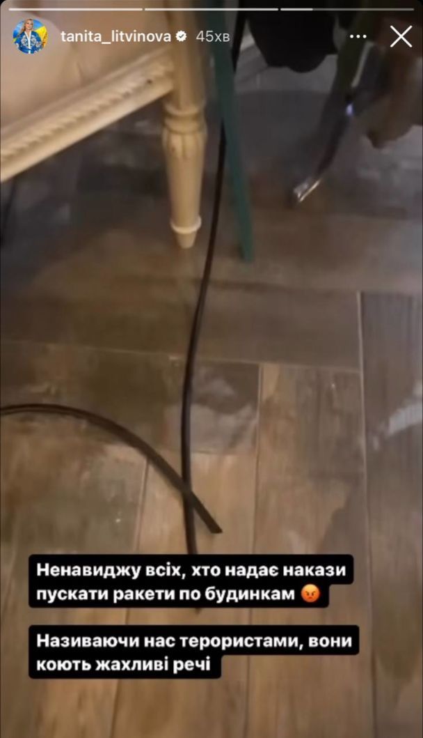 Дом Татьяны Литвиновой после российской атаки ночью 2 января / © 