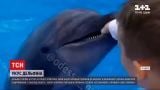 Новини України: мати хлопця, постраждалого від укусу дельфіна, не має претензій до дельфінарію