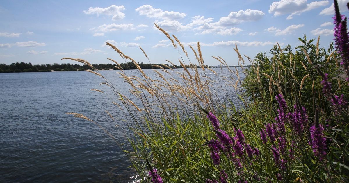 Річка Дніпро, по фарватеру якою проходить кордон з Білоруссю