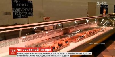 Кіт смакував м'ясо просто у вітрині одного із столичних супермаркетів