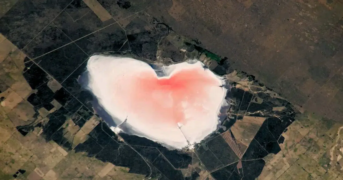 Рожеве озеро