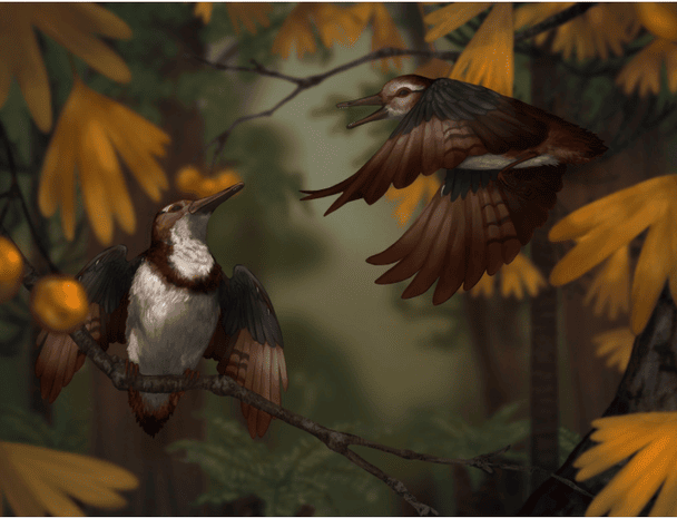 Вчені розкрили таємницю загибелі птаха віком 120 млн років