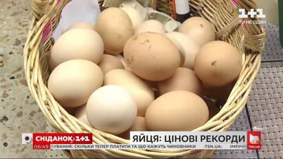 Почему яйца сильно подорожали и чем это грозит