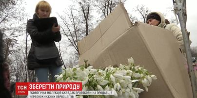 Екологічна інспекція провела рейд столичними ринками в пошуках торговців пролісками
