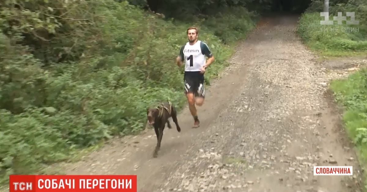 Собачьи бега: в Словакии псы на скорость тянули хозяев на велосипедах