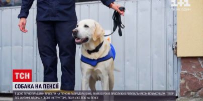 Новини України: у ДСНС Тернопільської області на пенсію провели лабрадора