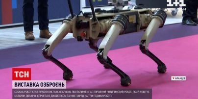 Новини світу: собака-робот став зіркою виставки озброєнь під Парижем