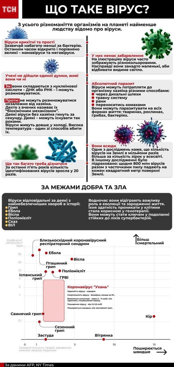  / © ТСН.ua