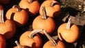 6 продуктів, які можуть зменшити запалення восени