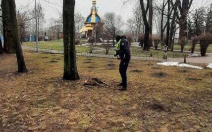 В киевском Гидропарке отравили собак - очевидцы