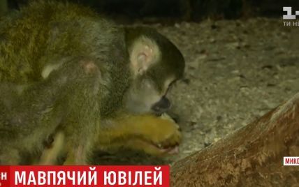 Обезьяна-долгожитель из Николаева претендует на мировой рекорд