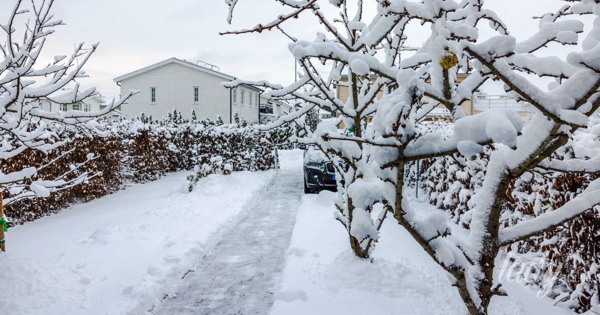 Як зберегти садові доріжки красивими та безпечними взимку, без ризику послизнутися та впасти