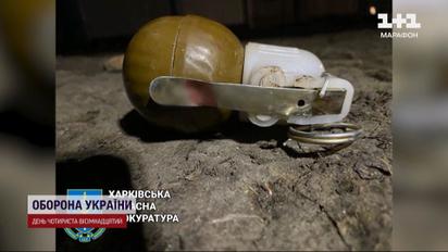 Разбрасывал гранаты по деревне: в Харьковской области задержали мужчину за покушение на убийство