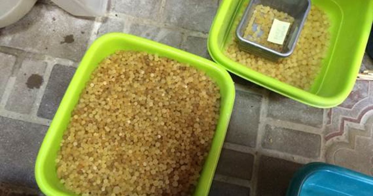 У Києві "накрили" нелегальний цех із обробки бурштину