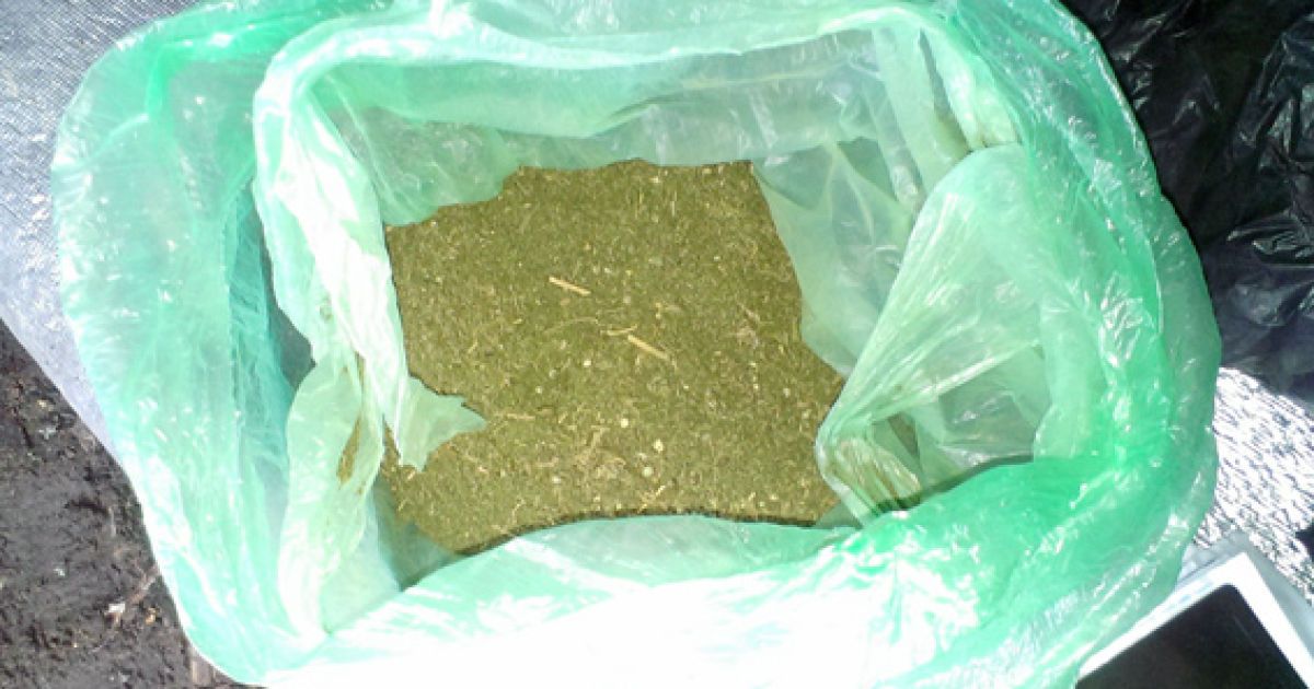 Житомирские наркоторговцы