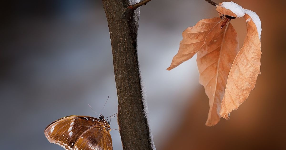 В Украину пришла весенняя погода