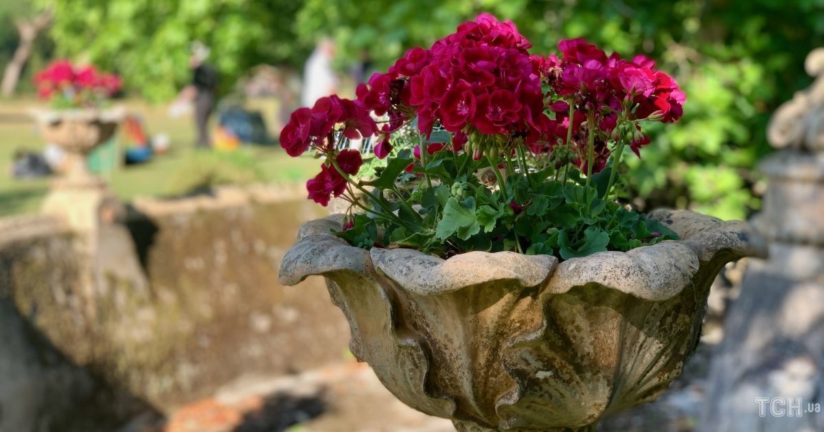 Гороскоп на 30 липня для всіх знаків зодіаку