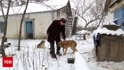 Эвакуировали из-под обстрела женщину с десятками животных, без которых спастись отказалась!