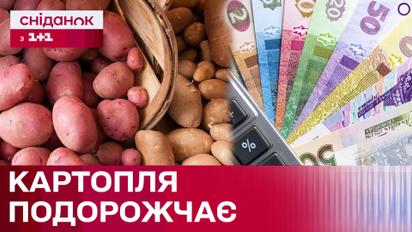 Чи варто запасатися картоплею вже зараз? Прогнози аграріїв