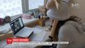 Няня онлайн: чим зайняти дошкільнят, щоби батьки змогли відволіктися на свої справи  