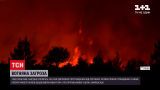 Новини світу: уряд Греції вирішить, як допомагати потерпілим від лісових пожеж 