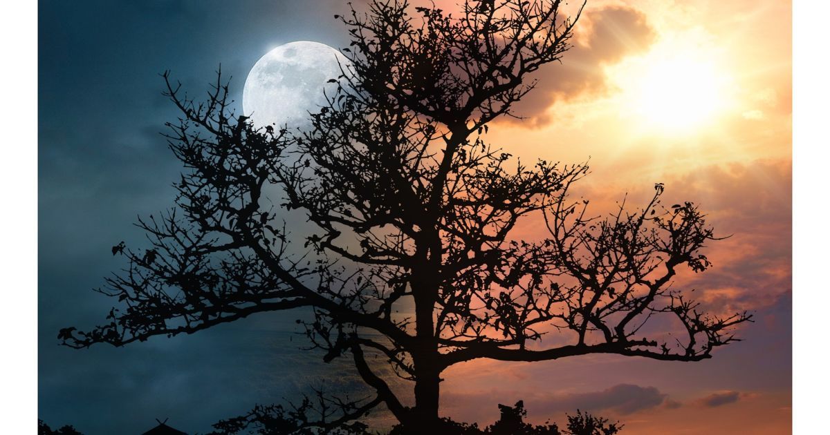 Молодой человек совпадает с солнечным затмением 14 октября 2023 года