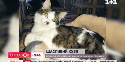 Как сейчас живет котик Кузя