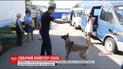 В Украину из Финляндии приехали кинологи посмотреть, как учат пограничных собак