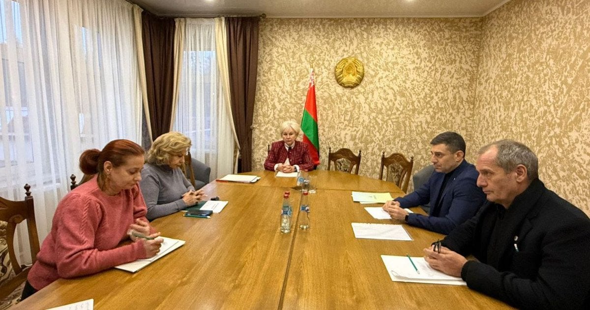 Дмитрий Лубинец на встрече с Татьяной Москальковой при участии руководителей миссий МККК