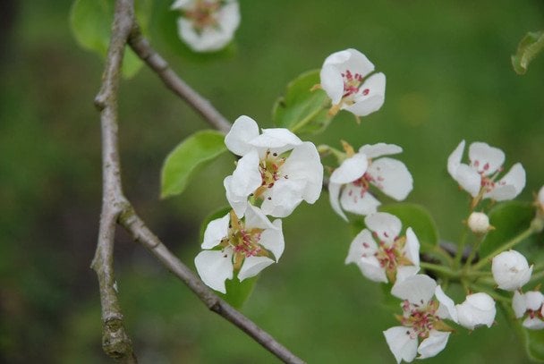 Народні прикмети 22 квітня / © pexels.com