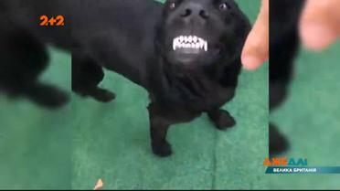 Подборка новостей мира за 17 июля 2020 года