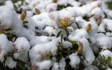 Синоптик дав прогноз погоди на зиму: коли чекати на сніг та заморозки