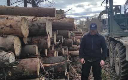 В Прикарпатье разоблачили бизнесмена, который незаконно рубил лес и продавал за границу: сумма убытков 2 млн грн