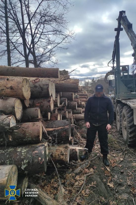 На Прикарпатті викрили бізнесмена, який незаконно рубав ліс і продавав за кордон: сума збитків 2 млн грн