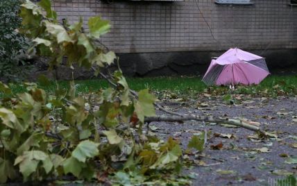 Гидрометцентр предупредил о сильных порывах ветра в Киеве до конца суток