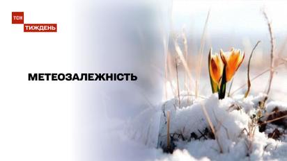 Новости недели: в Германии зафиксировали рекордный температурный скачок, а в Украине началась весна