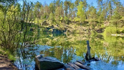 Весенний пейзаж