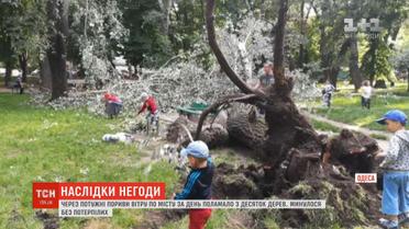 Сильний вітер в Одесі повалив десятки дерев
