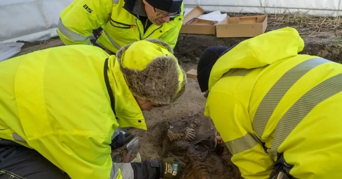 Могила вікінгів. Фото Norwegian SciTech News